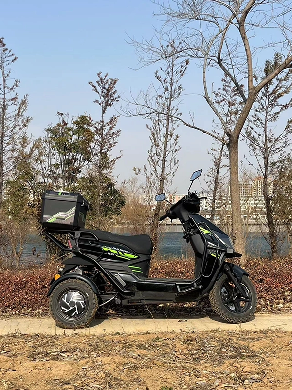 2 T200 Electric Motorcycle